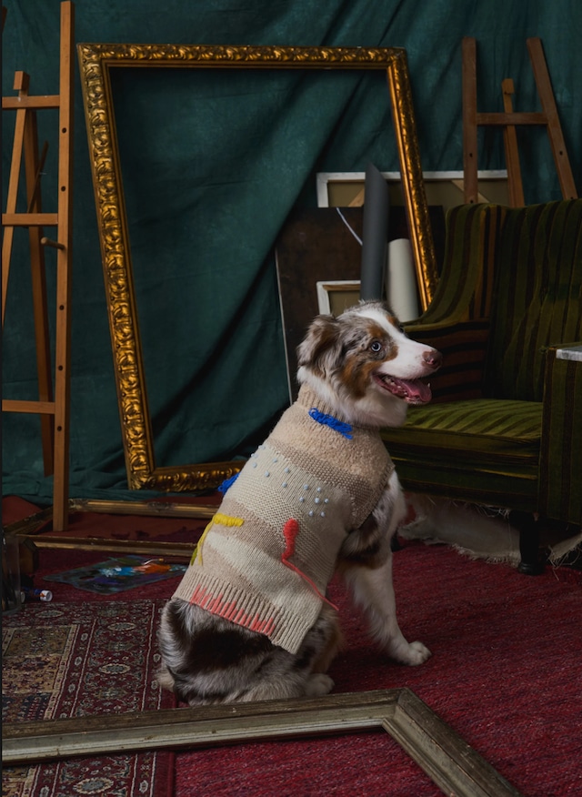 Fancy knit with doodle embroidery top