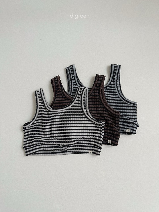 【予約】Rose Vest / digreen