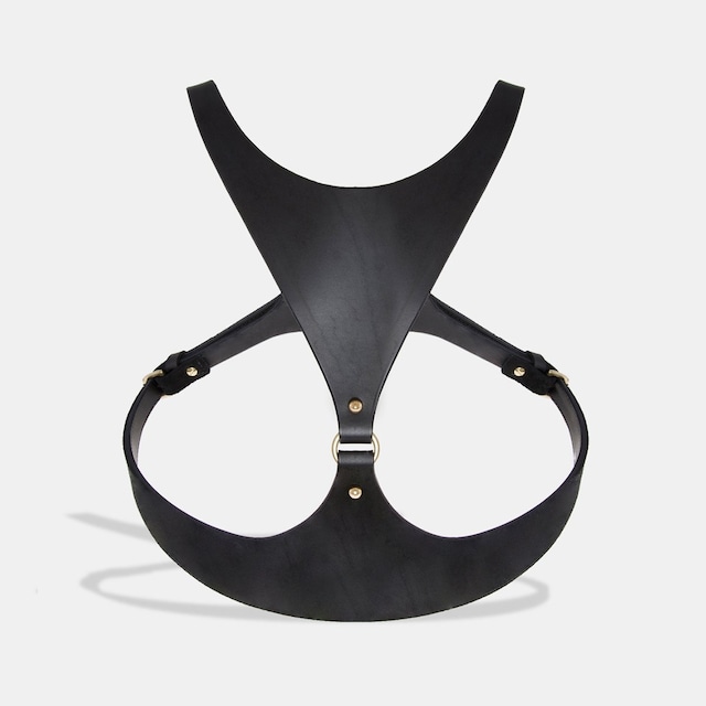 FLEET ILYA   triangle piece harness