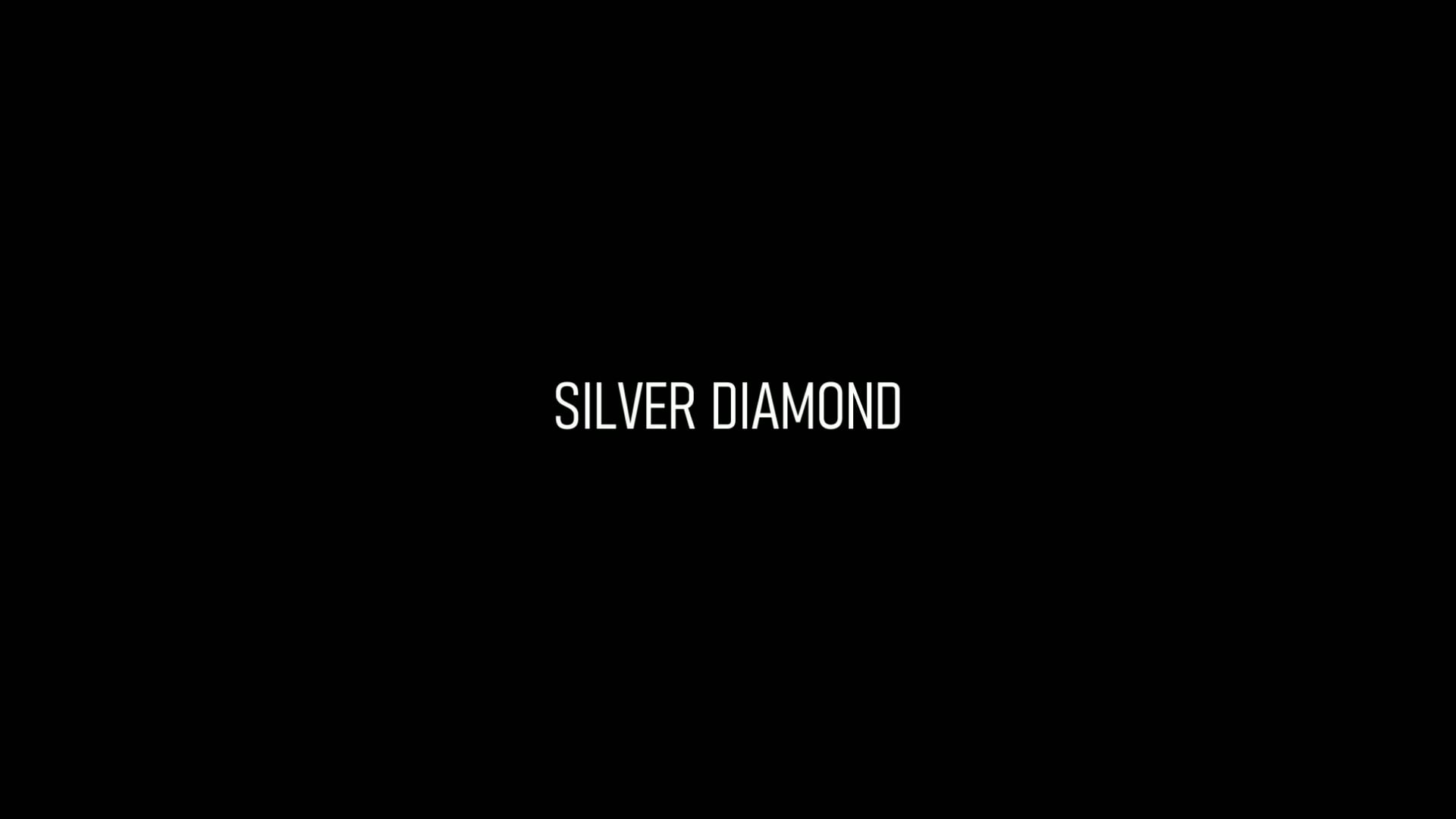 SILVER DIAMOND by TAKAHIRO | Macomical Shop