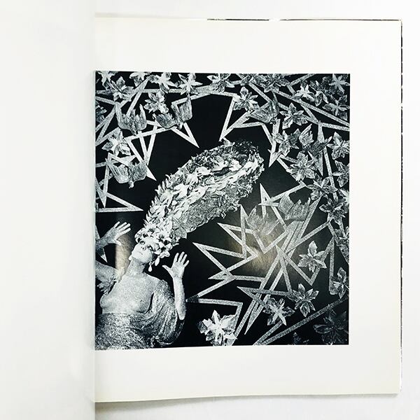 Reliquaries: Steven Arnold(スティーヴン・アーノルド写真集 ...