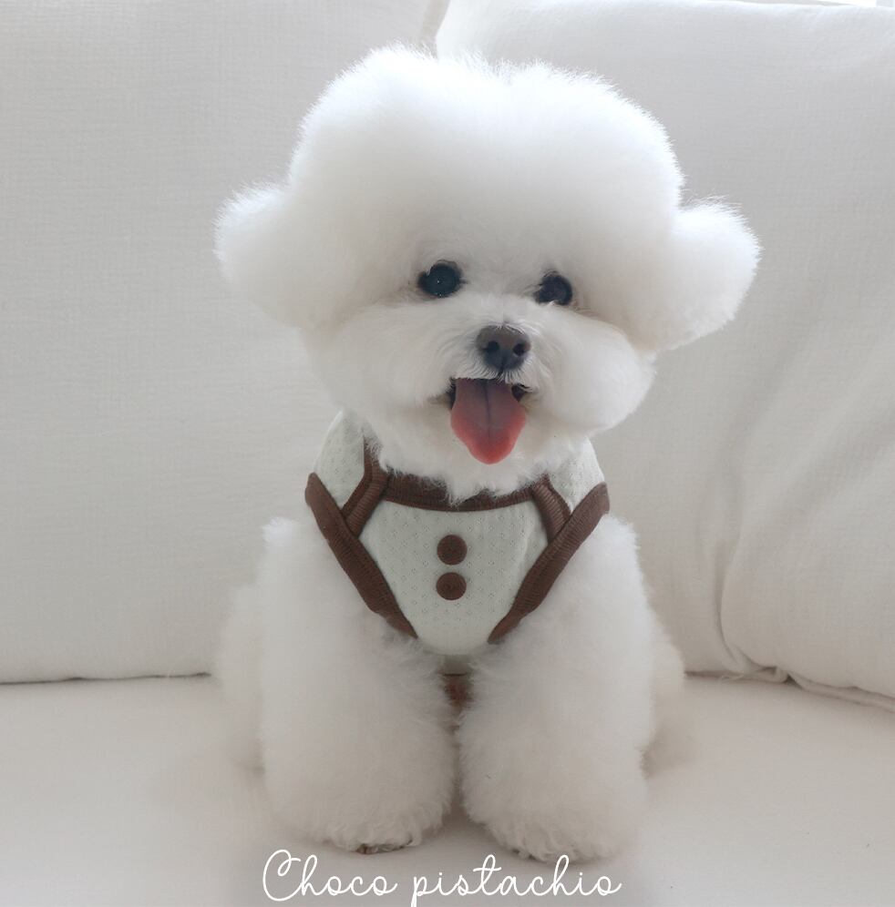 予約【near by us】cottage bonnet sleeveless set (choco pistachio)