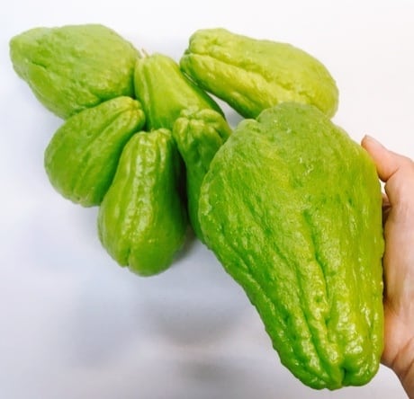 再入荷】島野菜！沖縄本島北部やんばる山原産！ハヤトウリ無農薬２ｋｇ