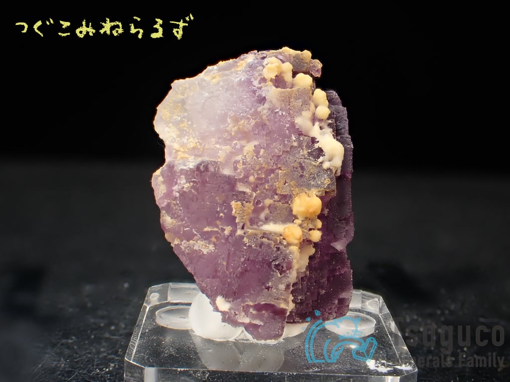 フローライト 蛍石 Fluorite スペイン TM-0003
