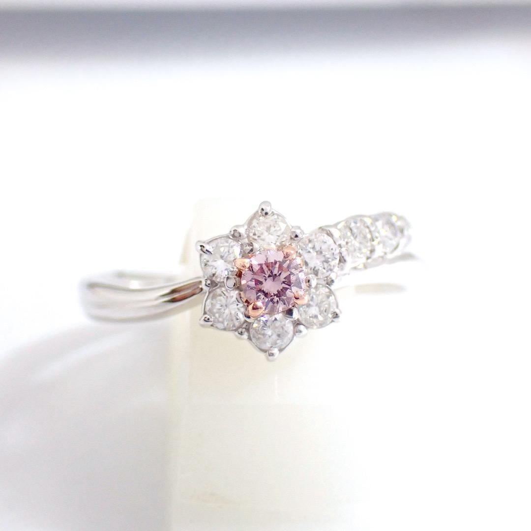 パープルダイヤ (Purple Diamond) | MUSÉE COLORÉE