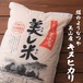 美山産キヌヒカリ　10 kg精米