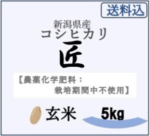 【送料込】【農薬化学肥料：栽培期間中不使用】令和5年産　新潟県産コシヒカリ・匠米（たくみまい）【玄米】【5kg】