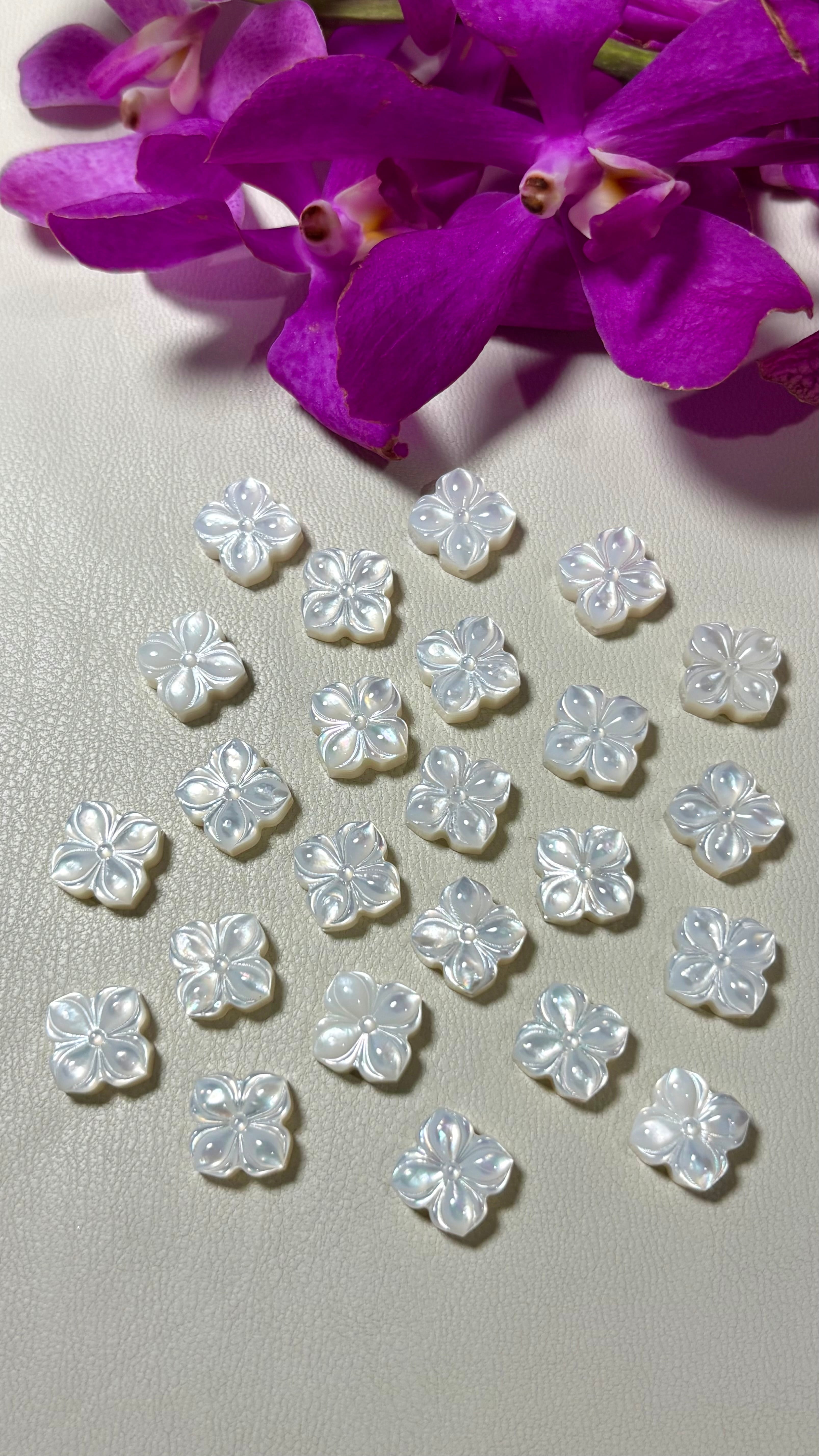 【新商品・数量限定SALE】 White shell flower / ホワイトシェルフラワーチャーム