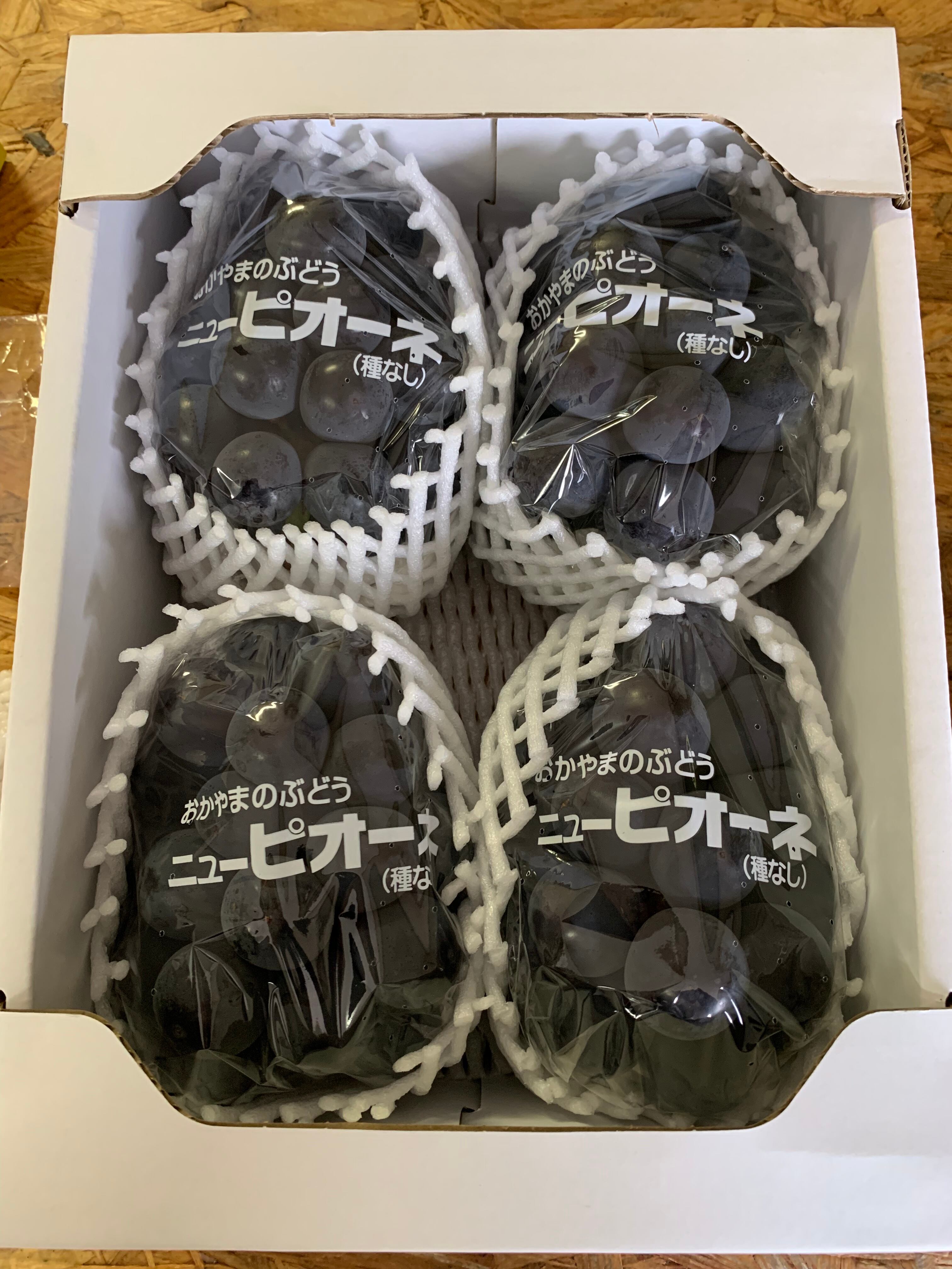 特選】ニューピオーネ 2kg (4～5房入） | 門野葡萄園 ONLINE SHOP