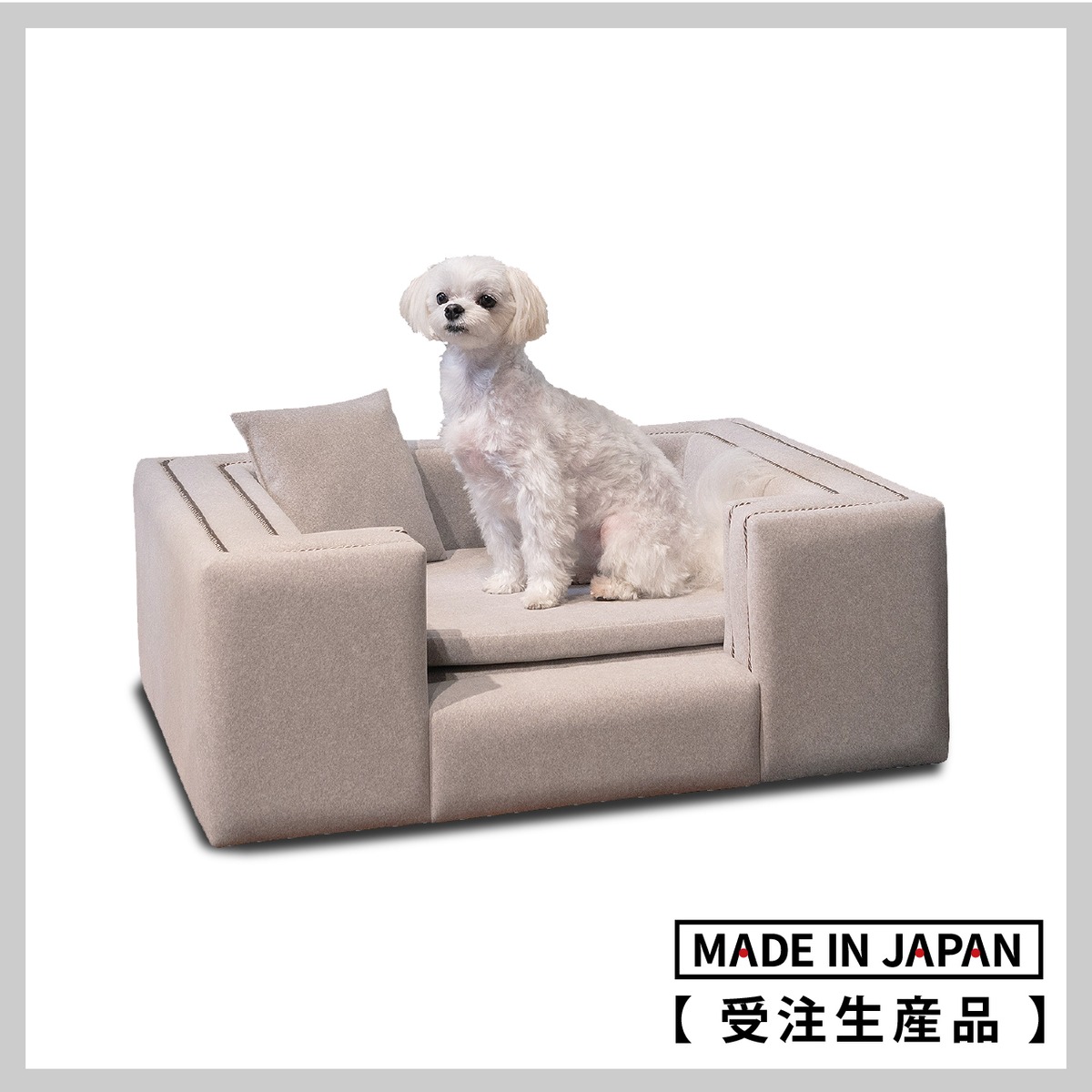 Grazia | Pet Salone