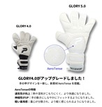 GLORY 5.0 GIGA GRIP（在庫なし:6号,7号,8号,9号）