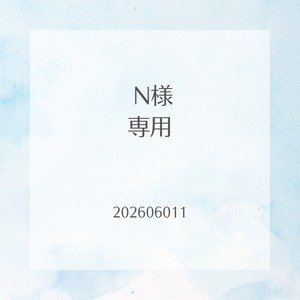 Nさま専用ページ　おまとめ
