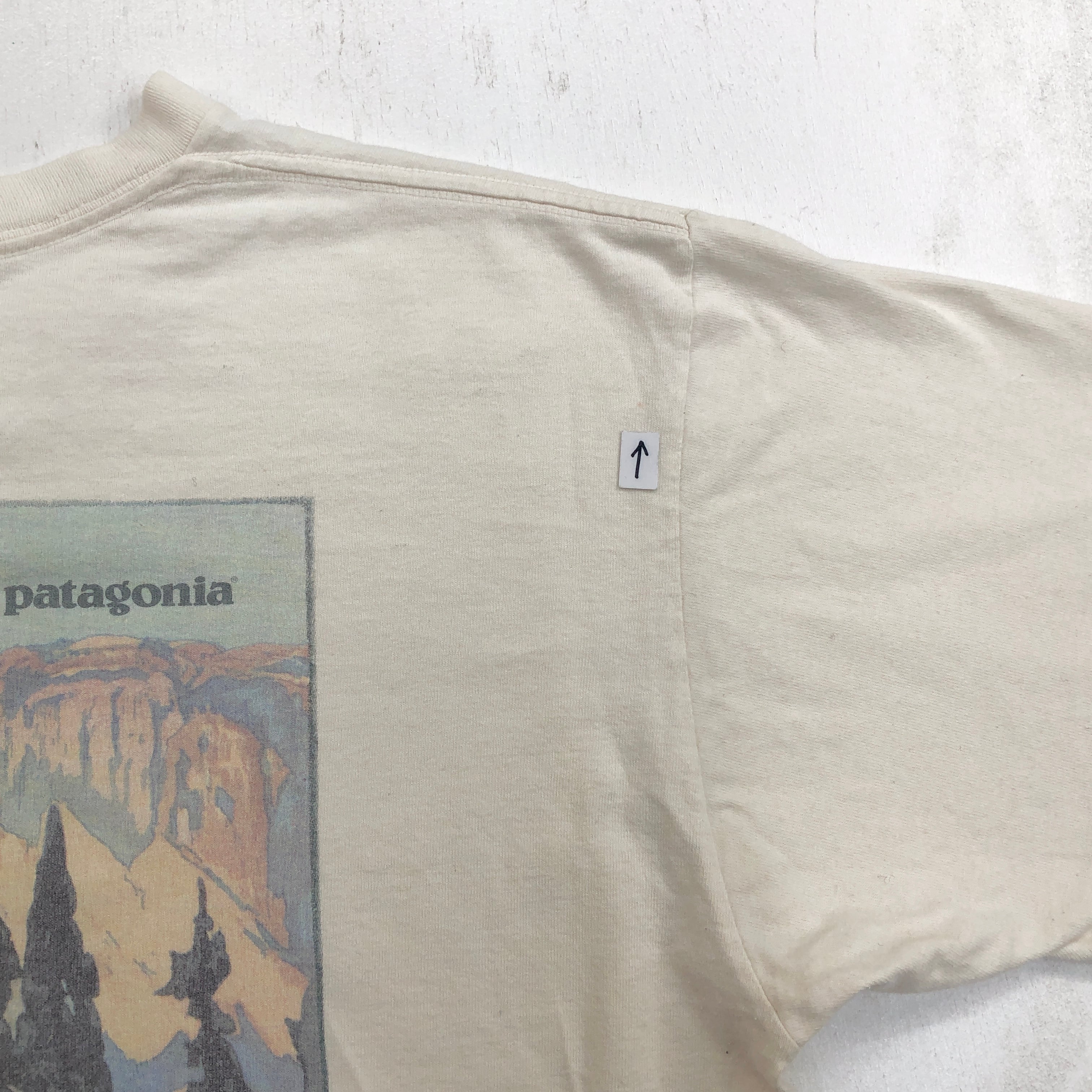 【90s】パタゴニア Beneficial Lサイズ PATAGONIA パタゴニア 90年代 USA製 BENEFICIAL T'S ヨセミテ 吉田博