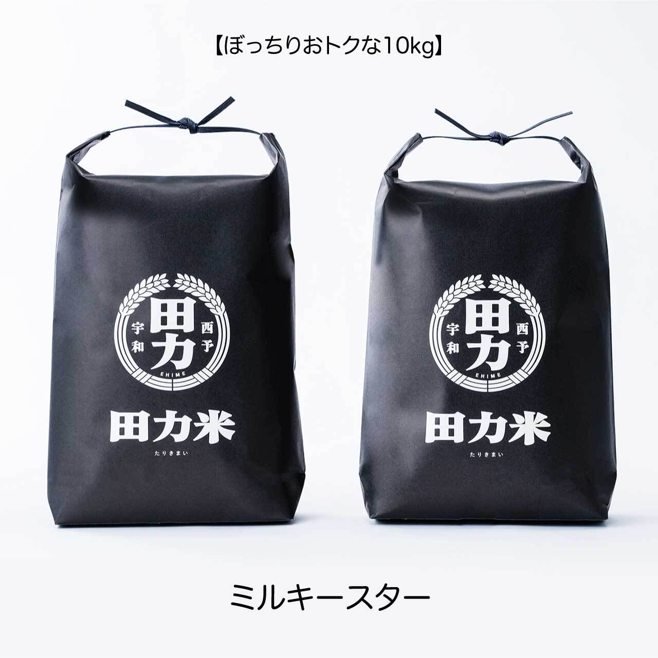 田力米 ミルキースター 白米 10kg 【2025年産】 | 田力商会
