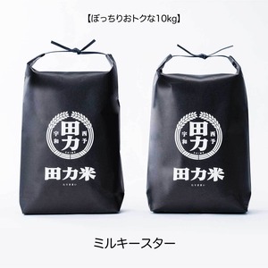 田力米 ミルキースター 白米 10kg 【2025年産】