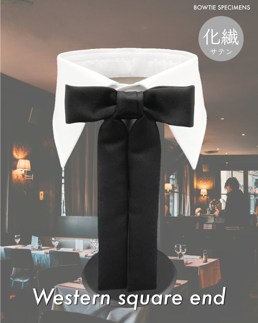 リボン 蝶ネクタイ ウエスタン・スクエアエンド (ブラック/エステル