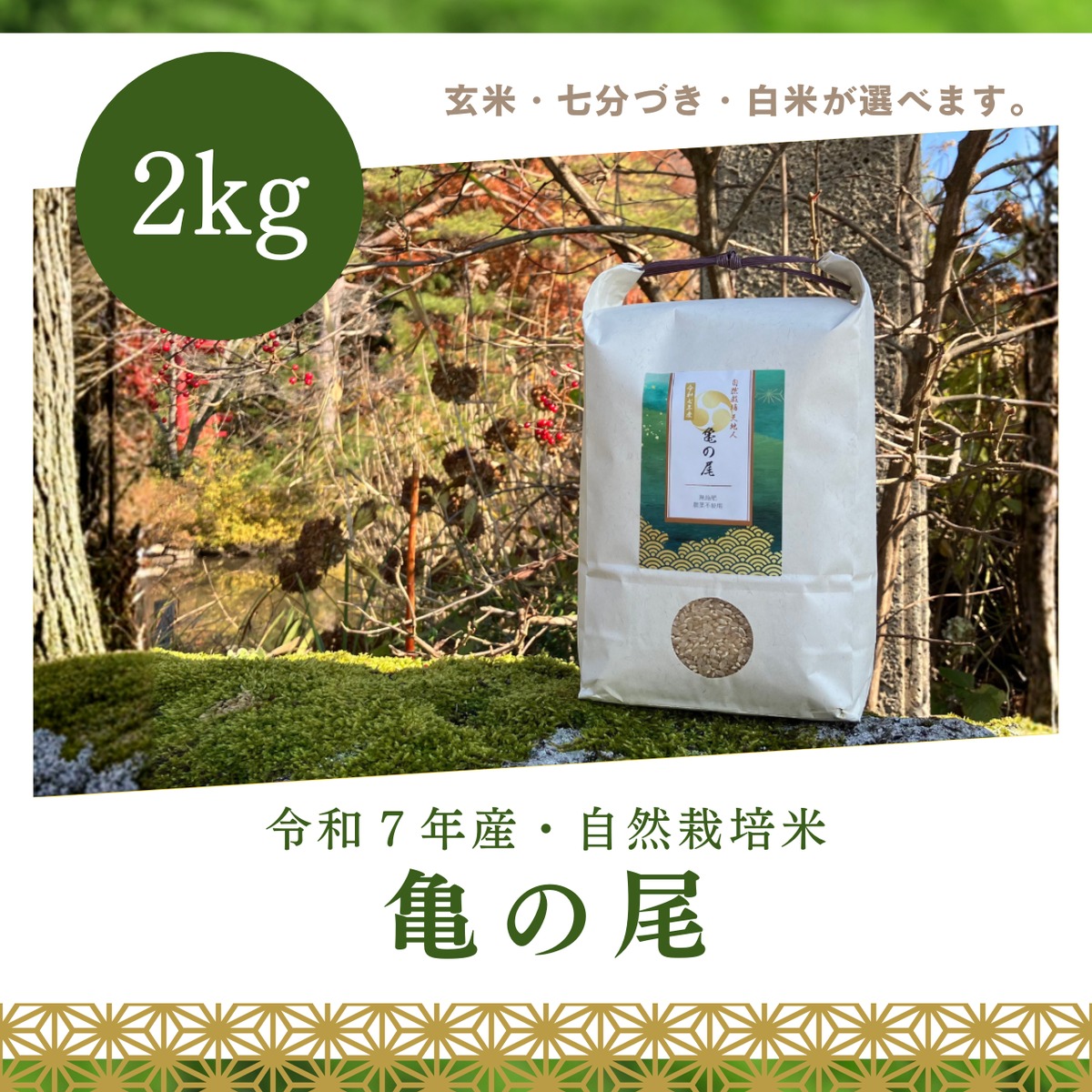 2kg】自然栽培《亀の尾》（令和7年産） | 自然栽培 天地人