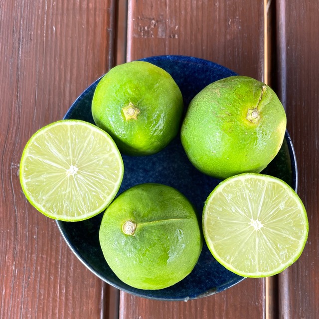 ライムシャーベット（秋）