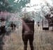 【2CD】失った風景 -Lost Scenes- private recordings 2014-2016（送料込）