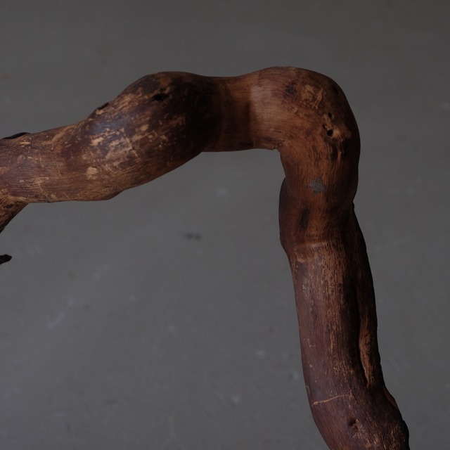 Branch
