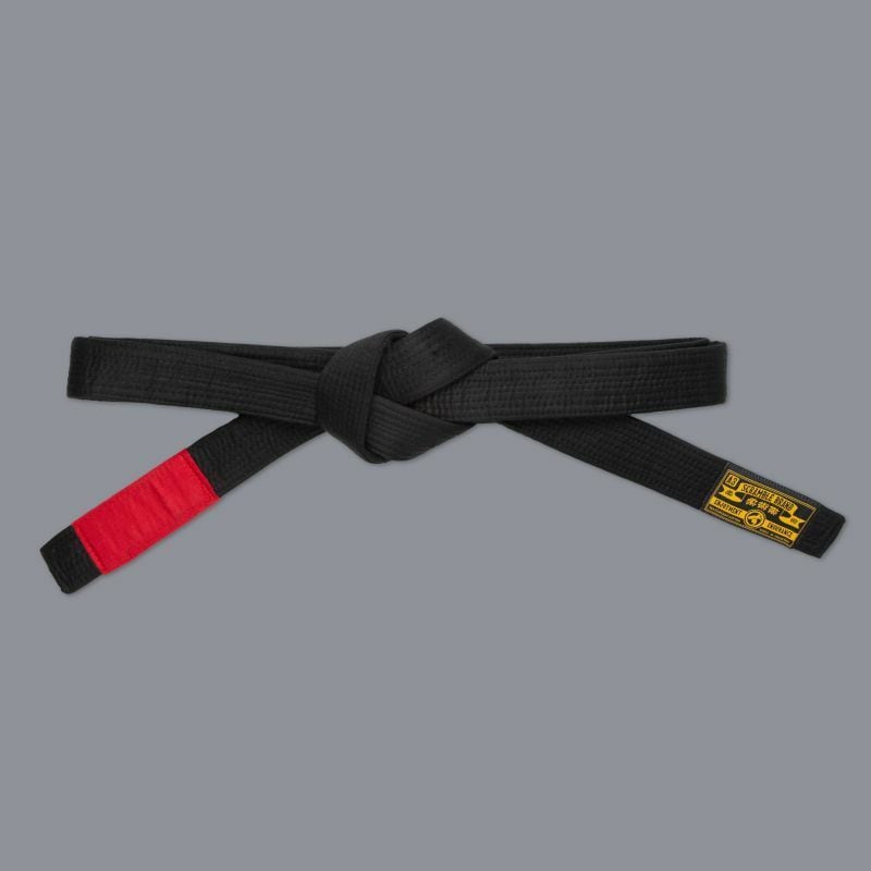 Scramble V3 柔術黒帯 | ブラジリアン柔術教則を買うならBJJチャンネル