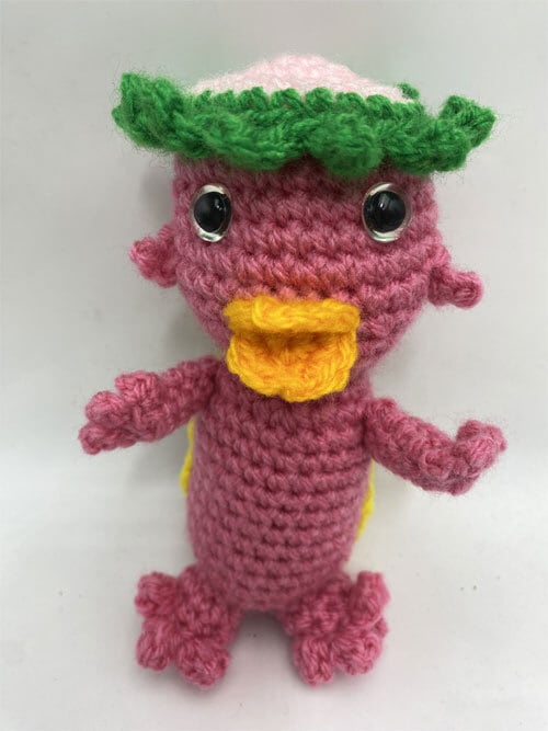 みのあみかっぱ みのあみかっぱ