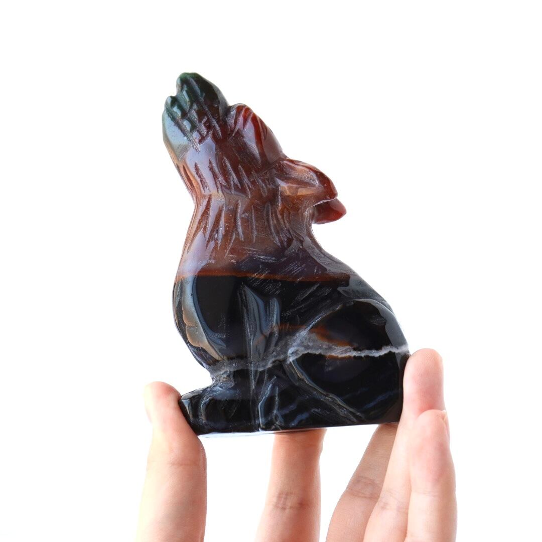 オーシャンジャスパーの狼B