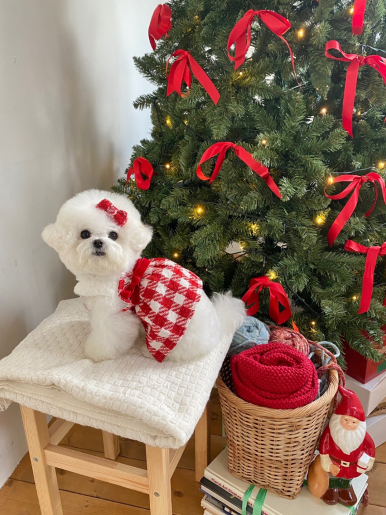 即納【Hi Yeboo】Christmas Collection- Acc