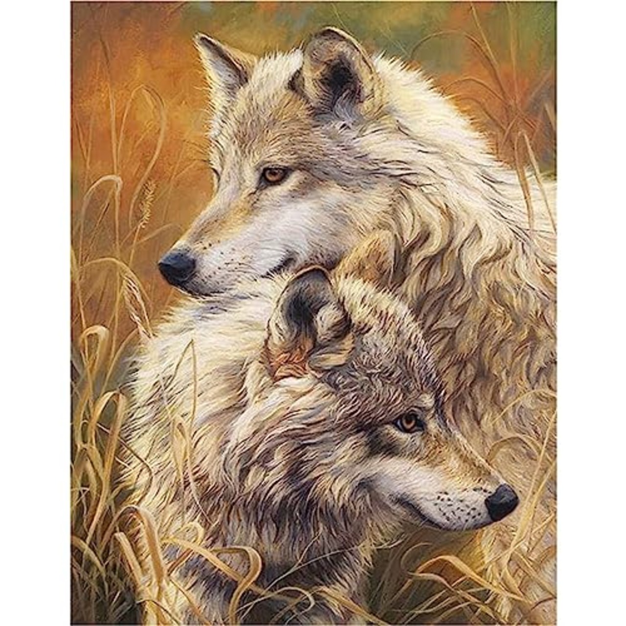 JISHSHAY ダイヤモンドアート 四角いビーズ 全面 40x50cm 狼 ダイヤモンドアート 動物 全面貼り付けタイプ 5d ダイヤモンドアート モザイクビーズ 手芸品 キット ダイヤモンドの絵 スクエア アート スクエアビーズ ハンドメイド 人気 芸術品 装飾 絵画 DIY 手芸 キット