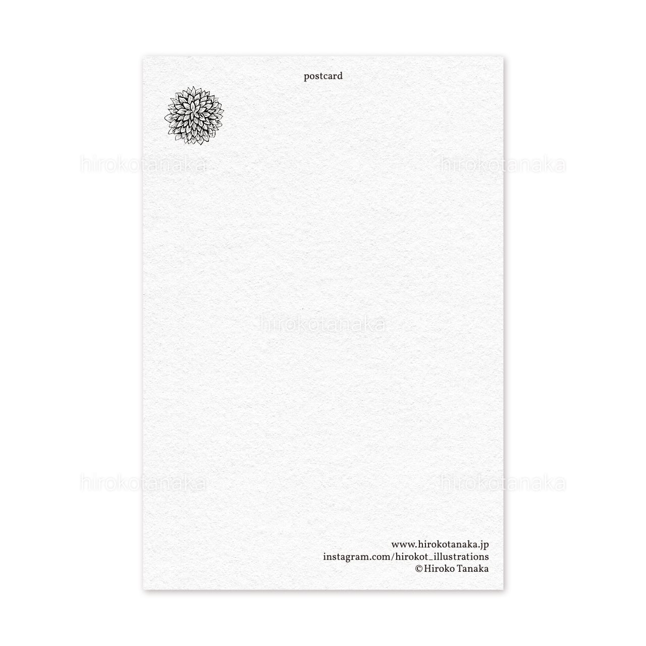 「TOM★CAT」旧規格 CSR刻印あり 税表記なし 折込帯 アンケートハガキ付 TOM☆CAT」旧規格 CSR刻印あり 税表記なし 折込帯 アンケートハガキ付