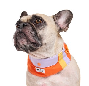 犬用バンダナ　ビタミンカラーバンダナ 　保冷剤付き　[サイズ: L]