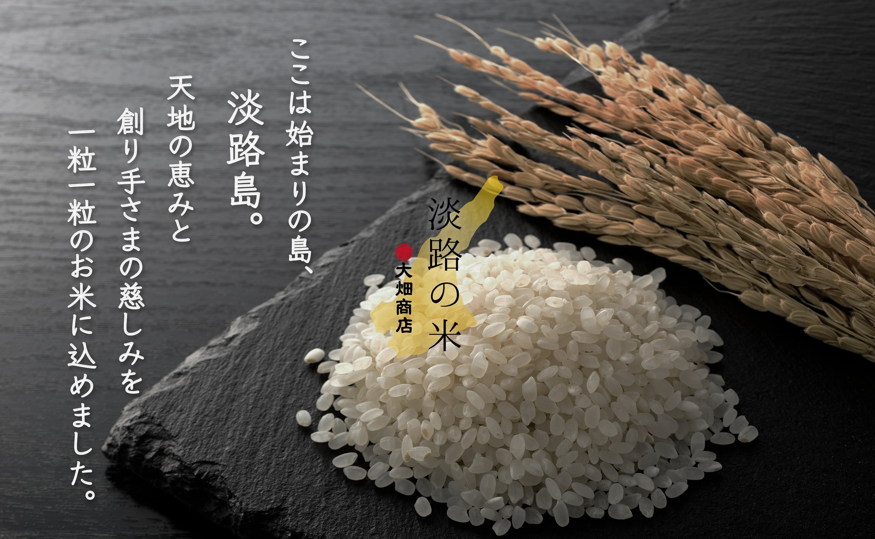 新米 令和5年 産 キヌヒカリ 玄米30キロ 淡路島 精米小分け可 30kg