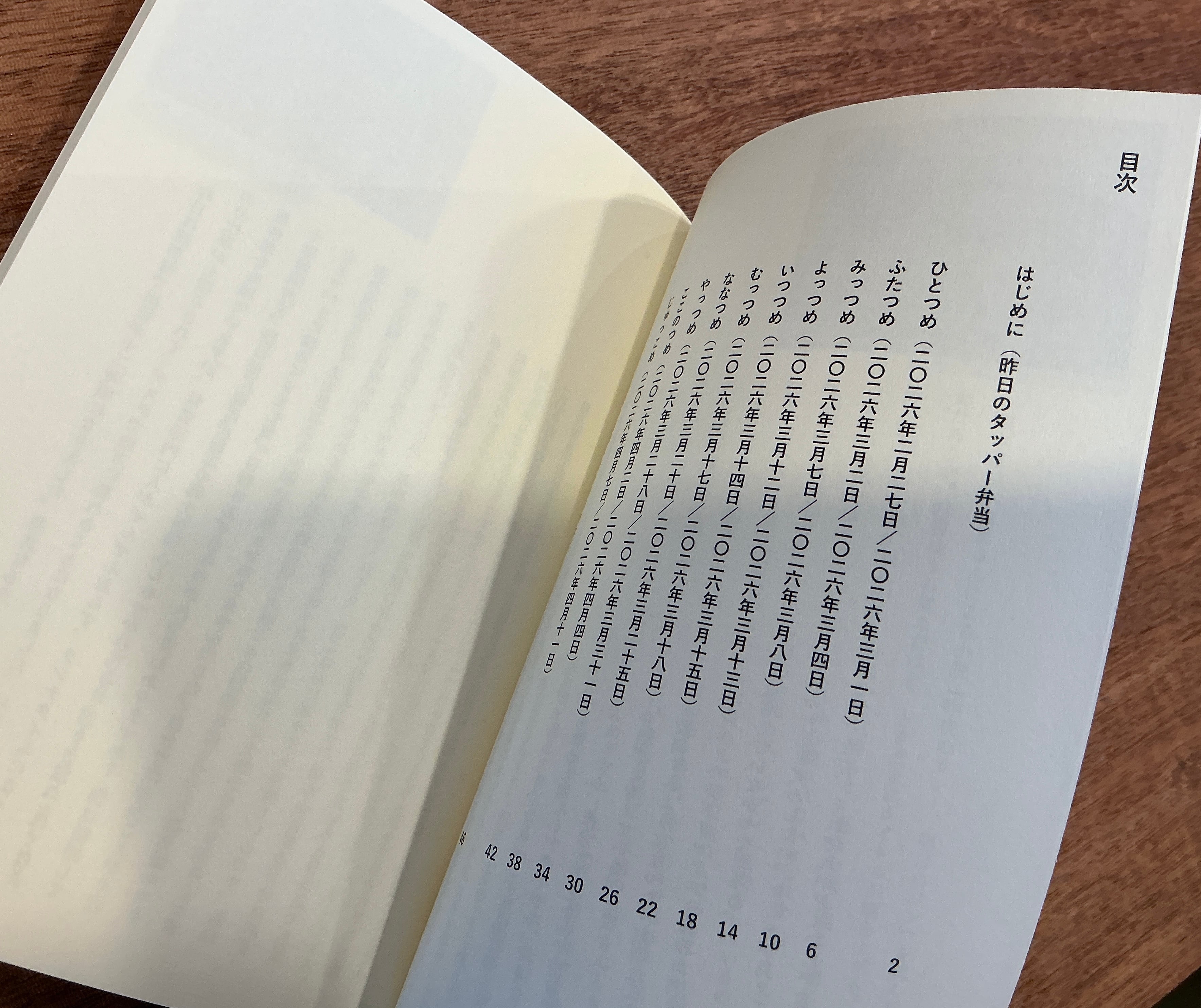 橋本亮二・日野剛広『昨日のタッパー弁当、明日の地味ベントリックス