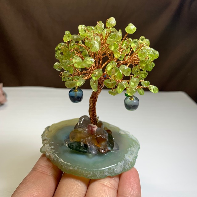 1.青いりんごがなる招財樹・ペリドット