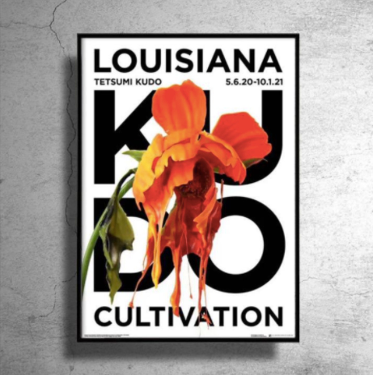 デンマーク限定！前衛美術家『工藤哲巳』希少ポスター | 特殊ポスター ...