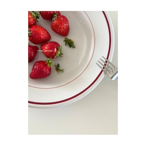 PYROBLAN PORCELAINE / 赤ラインのビストロプレート c