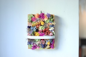 ドライフラワーBOX  カラフル