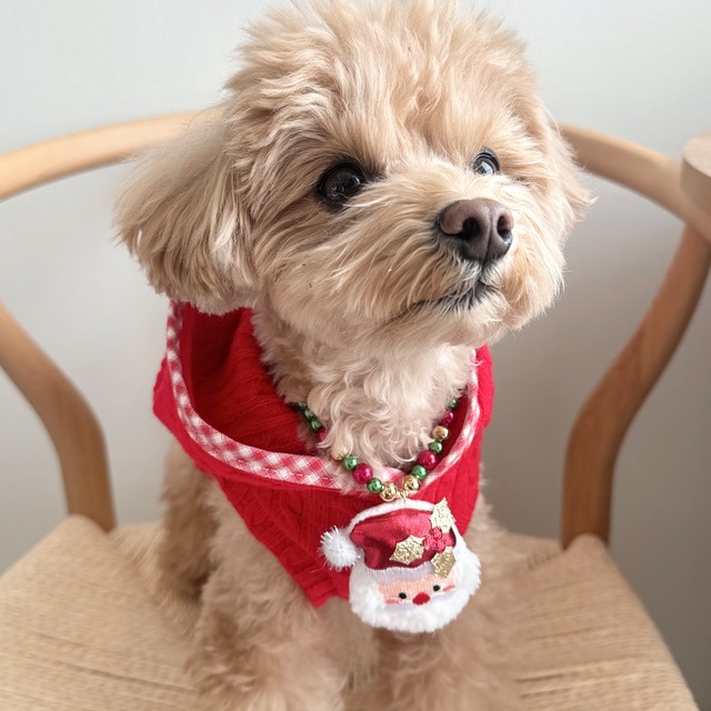 クリスマス＊コロコロサンタネックレス