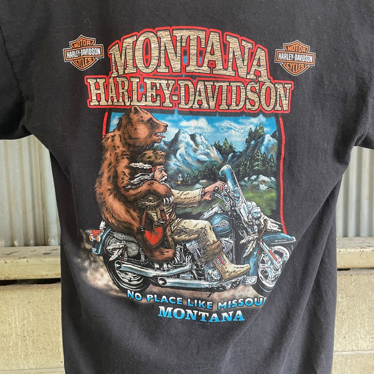 00年代 Harley-Davidson ハーレーダビッドソン ファイヤー フロント 