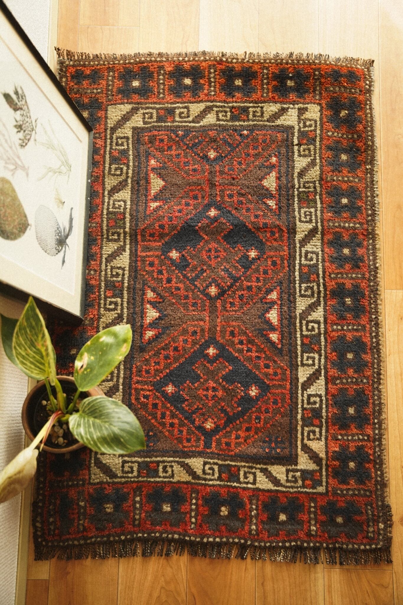 1504-Vintage Baluch rug