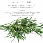 magic blue レモングラス・バタフライピーブレンド｜もだま工房 石垣島産 無農薬有機栽培ハーブティ