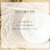 エシカルコレクション【L】