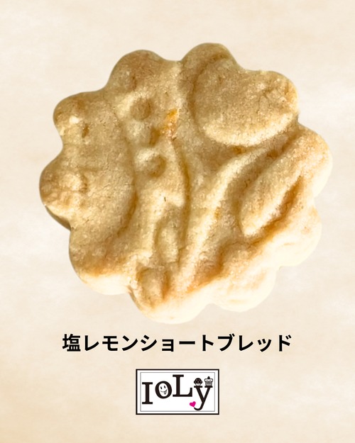 クッキー ショートブレット 洋菓子 お菓子 塩レモン 食品