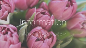 information【必ずご購入前にお読みください】