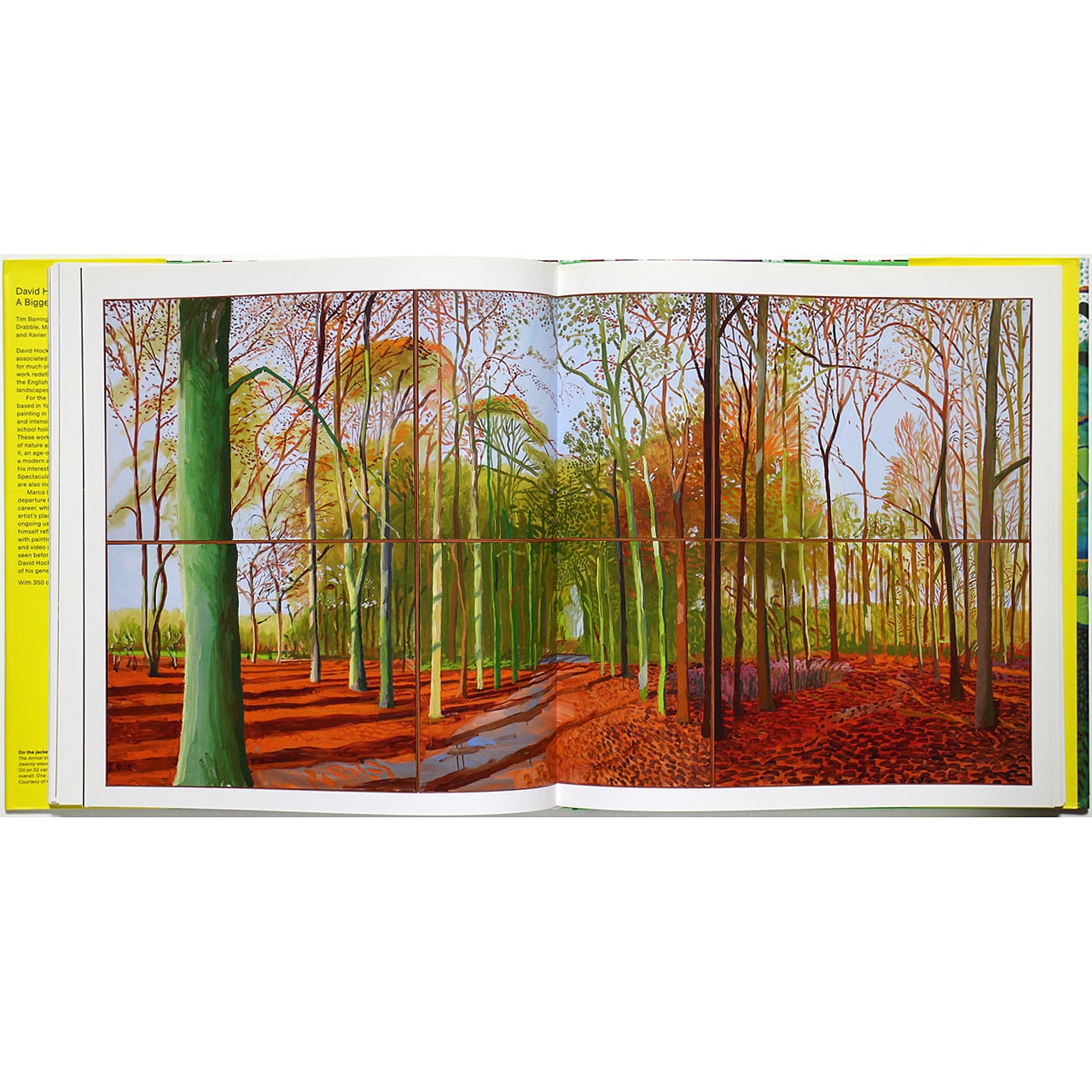 David Hockney: A Bigger Picture デイヴィッド・ホックニー：ザ