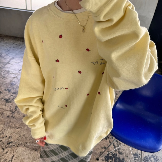 Lee vintage ladybird oversize pullover sweat_LNF_106