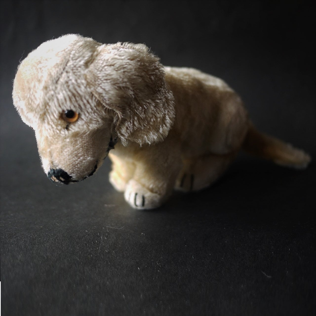 シュタイフ　アンズ Amazon.co.jp: シュタイフ(Steiff) テディーズ・フォー・トゥモロー