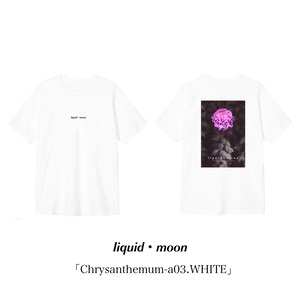 「Chrysanthemum-a03.WHITE」
