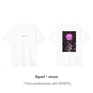 「Chrysanthemum-a03.WHITE」