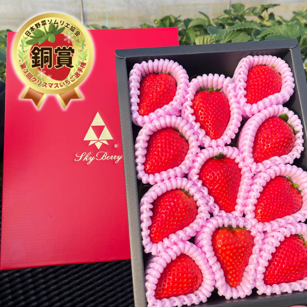 【3月31日お届け分まで】原宿ベリーの大粒いちご(450g)